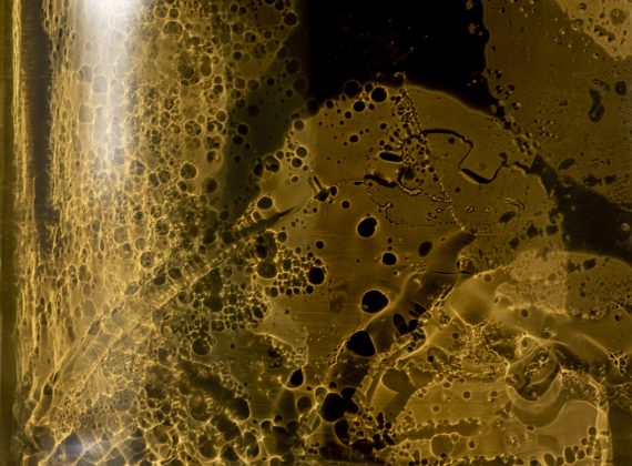 close-up-golden-shadows-champagne-bottle